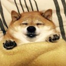 굿핏짐 이미지