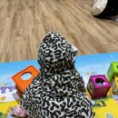 평택 AK 문화센터 오감자연놀이 반짝반짝 똘망이 4개월~10개월아기 수업 찐 후기