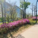 식물원사거리 이미지