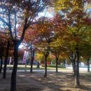 유앤아이공인중개사사무소 이미지