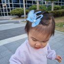 프림로제 이미지