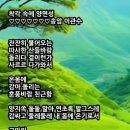 착각 속에 양면성 이미지