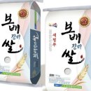 보배 - 제주시 광양2길 1 | 보배