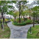 미소부동산중개 이미지