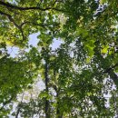 설매재자연휴양림 야영장 이미지