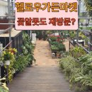[고양 헬로우가든마켓 후기] 꽃알못도 재방문 하게 만드는곳