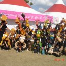 서울참새 이미지