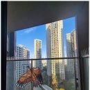 (주)세이브 이미지