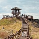 해안길 | 제주 닭머르해안길 방문후기, 제주 억새명소 추천