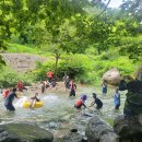 원동자연휴양림(양산) 이미지