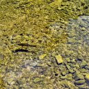 송어의집 이미지