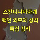 스칸디나비아계 백인 외모와 성격 특징 정리