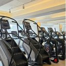 메이저피트니스 이미지