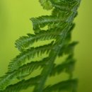 임실군청(임실읍사무소) 이미지