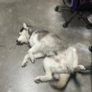 똘이PC방 이미지