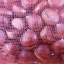 이복순농장 이미지