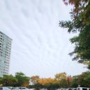 율하초등학교 앞 이미지