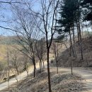 나남수목원(책박물관) | [포천 가볼만한 곳] 포천수목원, 나남 수목원 (+숲속 북까페) 포천 산책 코스