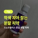 플러스덴치과기공소 | 마법의 보라 가루 치약으로 하얀 치아 만들기 `(*>﹏<*)′스노우플러스 톤업 분말 치약