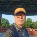 아침 운동길에 만난 친구들 ㅡ72살 형아의 스케이드 보드ㅡ청설모 비둘기 까마귀 등ㅡ내고향 갈때까지 빈 예서 ㅡ 내하나의 사람은 이 지후 이미지