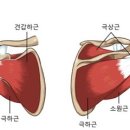 크로스핏굴포천 이미지