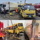 종정초등학교 이미지