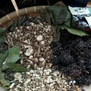 배순농장 이미지
