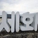 세화피크닉
