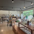 인천조류원 | 영종도 가볼만한 곳 인천 앵무새카페 버드플라잉 인천점