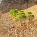 하늘장묘개발 - 동구 태전로 101-2 | 하늘장묘개발