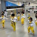 인계스타태권도장 이미지