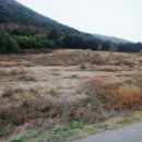 금오도공인중개사사무소 이미지