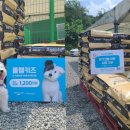 에버독 이미지