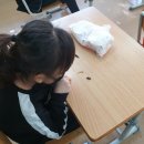 다전초등학교 이미지