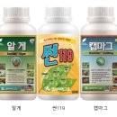 신화엔텍