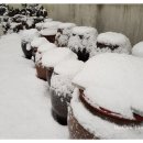 서귀어린이집 이미지