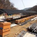 덕희농장 이미지