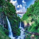 서울 근교 가족 나들이 추천코스! 이미지