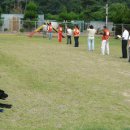 필애견훈련학교 이미지