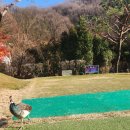 11545-11-88-08 | 88CC 12월 겨울 라운딩 솔직 후기