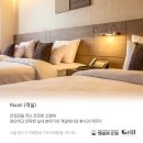 해밀톤미용실