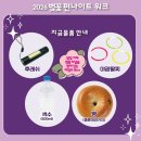 안민초등학교 | 제64회 진해군항제 2026 벚꽃 펀나이트 워크 일정 총정리, 야간 벚꽃 8km 코스