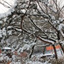 강서구민회관 이미지