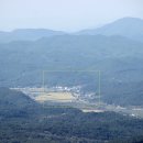 새(화산)2 이미지