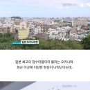 일본 최고 장수 마을 오키나와에서 평균 수명이 하락한 이유 이미지