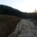 동명중고등학교