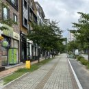 샤인몽스 이미지