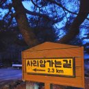 김해중앙여자중학교 | 청도 사리암 / 937개 계단 올라 비는 신년 기도 뷰 맛집 운문사 나들이까지