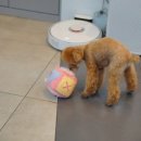 더조은 동물의료센터 이미지