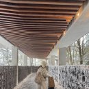 사우나앞 화장실 | 한화리조트 제주 디럭스 투룸 내돈내산 장단점 후기 사우나